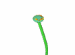 ດອກ​ໄມ້ ຮູບພາບເຄື່ອນໄຫວ-gif